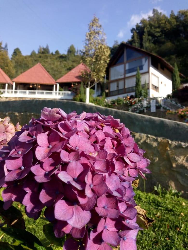 Hotel Cabanas El Rincon De Las Campanas Нобса Экстерьер фото